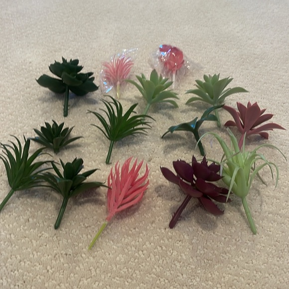 Faux succulents - Picture 2 of 6